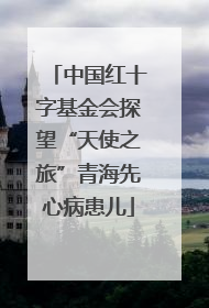 中国红十字基金会探望“天使之旅”青海先心病患儿