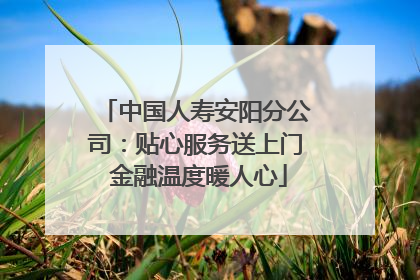 中国人寿安阳分公司：贴心服务送上门 金融温度暖人心