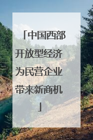 中国西部开放型经济为民营企业带来新商机