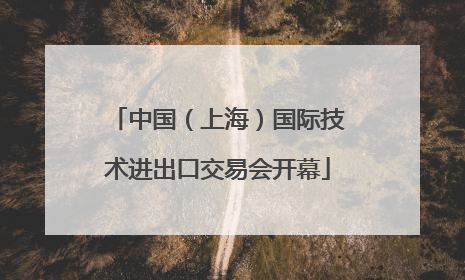 中国（上海）国际技术进出口交易会开幕