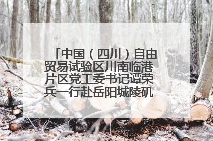 中国（四川）自由贸易试验区川南临港片区党工委书记谭荣兵一行赴岳阳城陵矶综保区考察