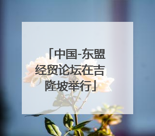 中国-东盟经贸论坛在吉隆坡举行