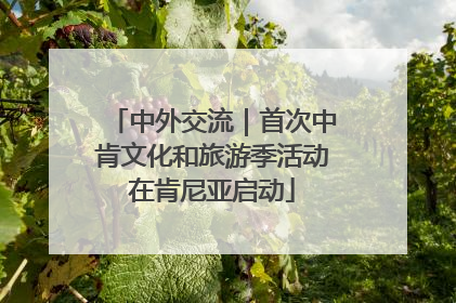 中外交流｜首次中肯文化和旅游季活动在肯尼亚启动