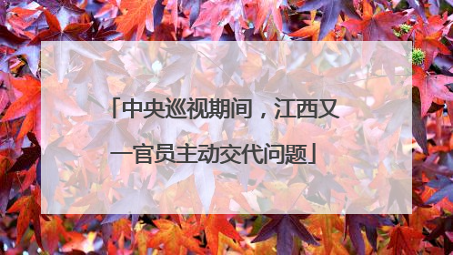 中央巡视期间，江西又一官员主动交代问题