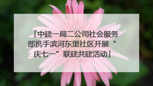 中建一局二公司社会服务部携手滨河东里社区开展“庆七一”联建共建活动