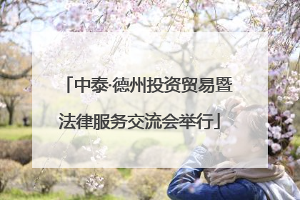 中泰·德州投资贸易暨法律服务交流会举行