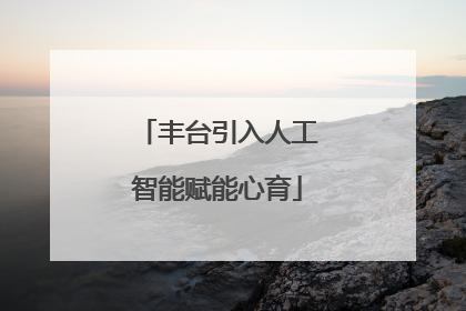 丰台引入人工智能赋能心育