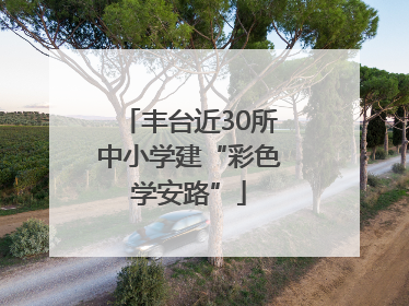丰台近30所中小学建“彩色学安路”