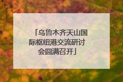 乌鲁木齐天山国际枢纽港交流研讨会圆满召开