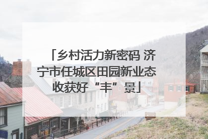 乡村活力新密码 济宁市任城区田园新业态收获好“丰”景