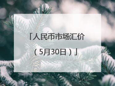 人民币市场汇价（5月30日）