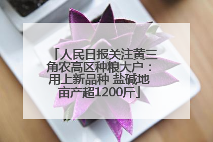 人民日报关注黄三角农高区种粮大户：用上新品种 盐碱地亩产超1200斤
