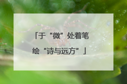 于“微”处着笔 绘“诗与远方”