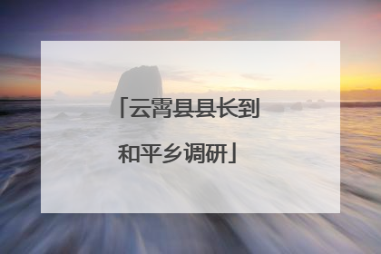云霄县县长到和平乡调研