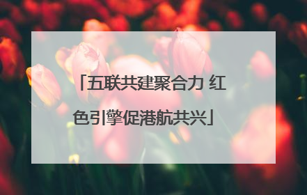 五联共建聚合力 红色引擎促港航共兴