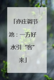 亦庄调节池：一方好水引“客”来