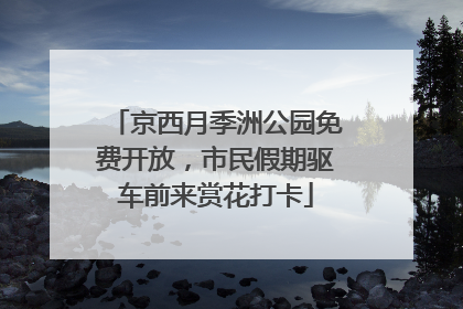 京西月季洲公园免费开放，市民假期驱车前来赏花打卡