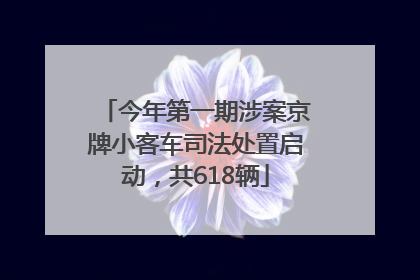 今年第一期涉案京牌小客车司法处置启动，共618辆