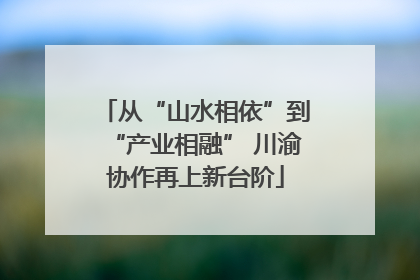 从“山水相依”到“产业相融” 川渝协作再上新台阶
