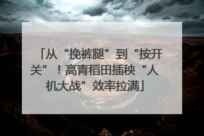 从“挽裤腿”到“按开关”！高青稻田插秧“人机大战”效率拉满