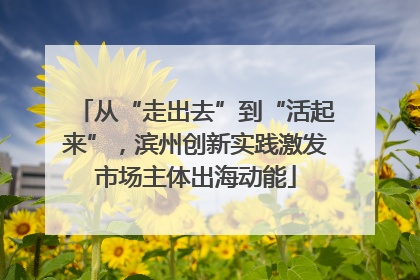 从“走出去”到“活起来”，滨州创新实践激发市场主体出海动能