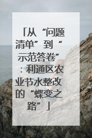 从“问题清单”到“示范答卷”：利通区农业节水整改的“蝶变之路”