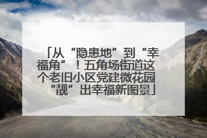 从“隐患地”到“幸福角”！五角场街道这个老旧小区党建微花园“靓”出幸福新图景