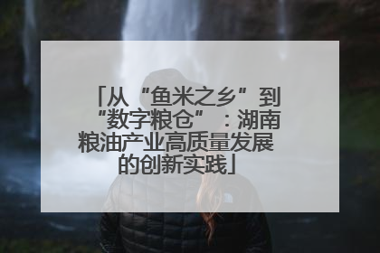 从“鱼米之乡”到“数字粮仓”：湖南粮油产业高质量发展的创新实践