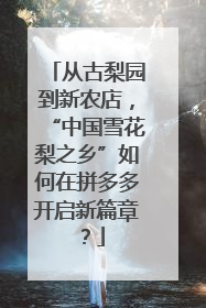 从古梨园到新农店，“中国雪花梨之乡”如何在拼多多开启新篇章？