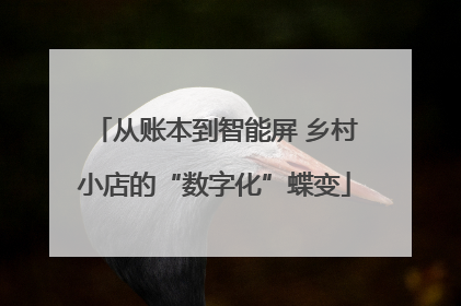 从账本到智能屏 乡村小店的“数字化”蝶变