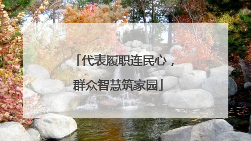 代表履职连民心，群众智慧筑家园