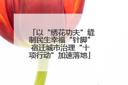 以“绣花功夫”缝制民生幸福“针脚” 宿迁城市治理“十项行动”加速落地