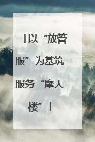 以“放管服”为基筑服务“摩天楼”