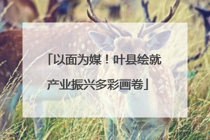 以面为媒！叶县绘就产业振兴多彩画卷