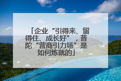 企业“引得来、留得住、成长好”，普陀“营商引力场”是如何炼就的