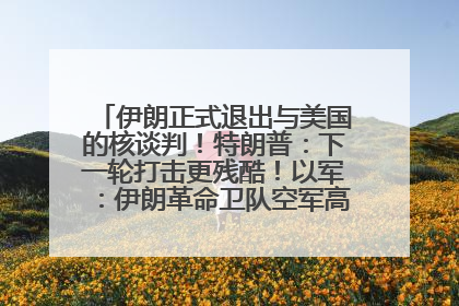 伊朗正式退出与美国的核谈判！特朗普：下一轮打击更残酷！以军：伊朗革命卫队空军高层指挥系统已被击垮