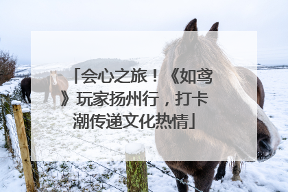 会心之旅！《如鸢》玩家扬州行，打卡潮传递文化热情