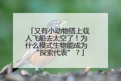 又有小动物搭上载人飞船去太空了！为什么模式生物能成为“探索代表”？