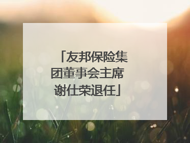 友邦保险集团董事会主席谢仕荣退任