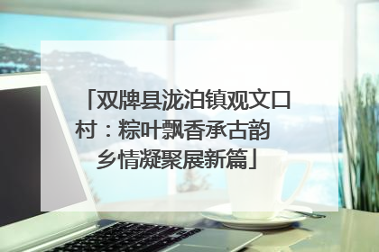 双牌县泷泊镇观文口村：粽叶飘香承古韵 乡情凝聚展新篇