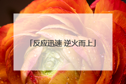 反应迅速 逆火而上