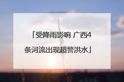 受降雨影响 广西4条河流出现超警洪水
