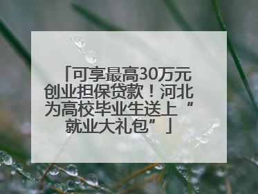 可享最高30万元创业担保贷款！河北为高校毕业生送上“就业大礼包”