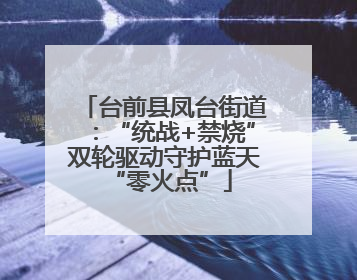台前县凤台街道：“统战+禁烧”双轮驱动守护蓝天 “零火点”