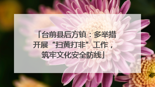 台前县后方镇：多举措开展“扫黄打非”工作，筑牢文化安全防线