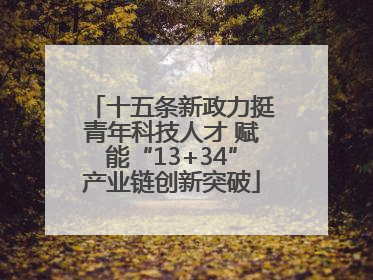 十五条新政力挺青年科技人才 赋能“13+34”产业链创新突破