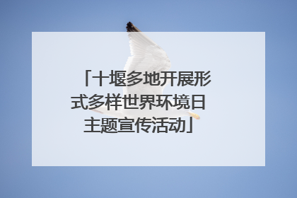 十堰多地开展形式多样世界环境日主题宣传活动