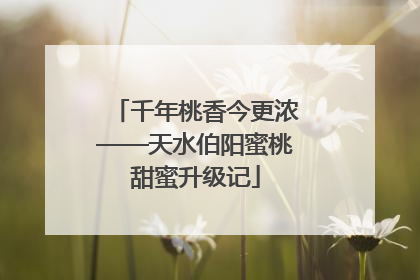 千年桃香今更浓——天水伯阳蜜桃甜蜜升级记