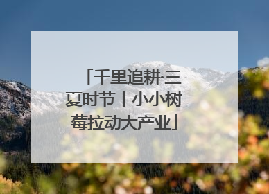 千里追耕·三夏时节丨小小树莓拉动大产业