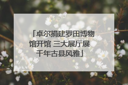 卓尔捐建罗田博物馆开馆 三大展厅展千年古县风雅